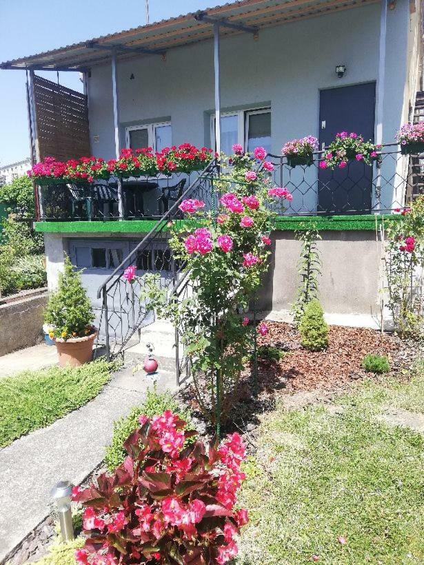 Na Kazimierza Apartment *